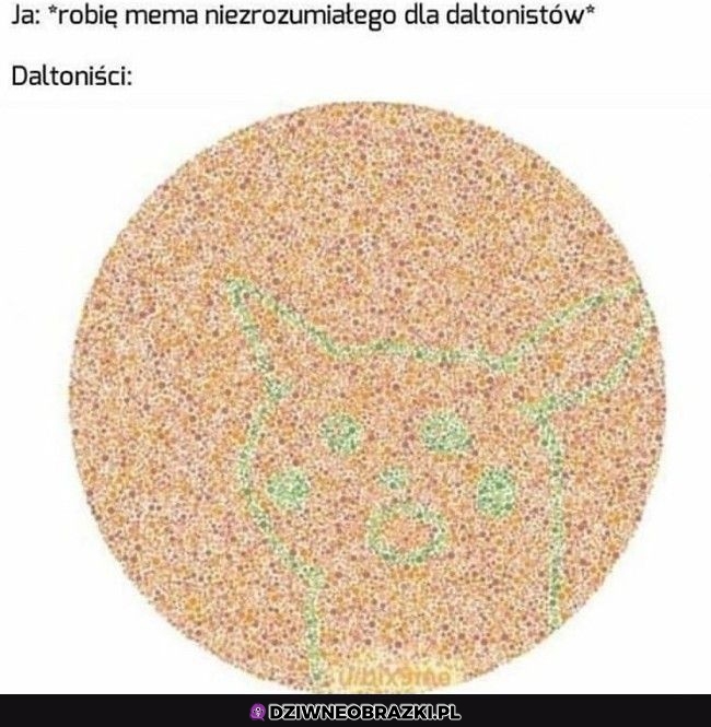 Niezrozumiałe