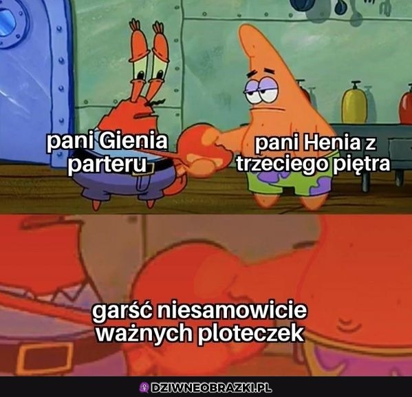 Najważniejsze ploteczki
