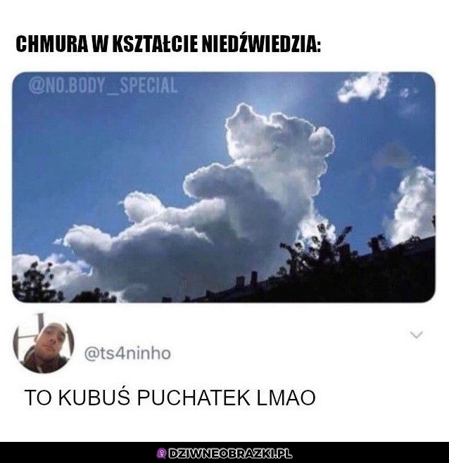 Puchatek czy to ty?