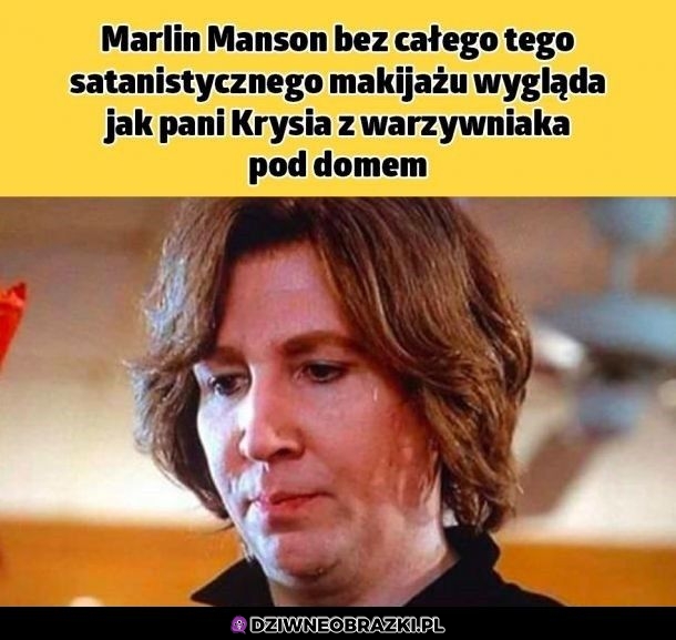 Bez kitu