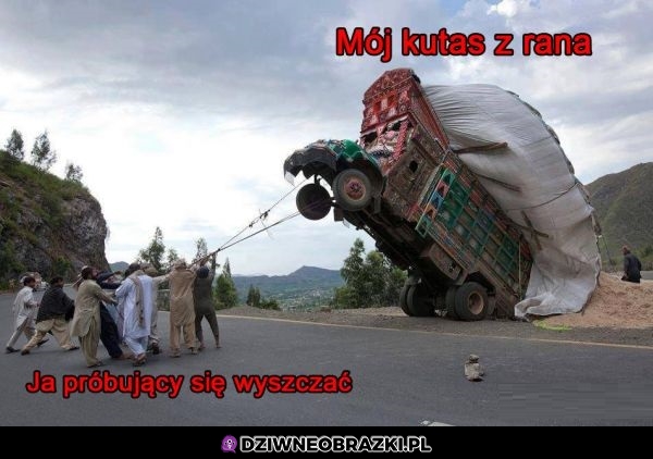 Każdego poranka