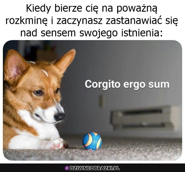 poważne rozkminy