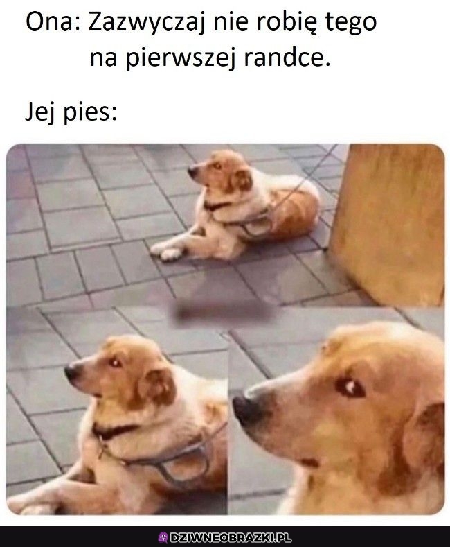 Ta akurat