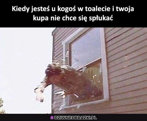Pora na ewakuację