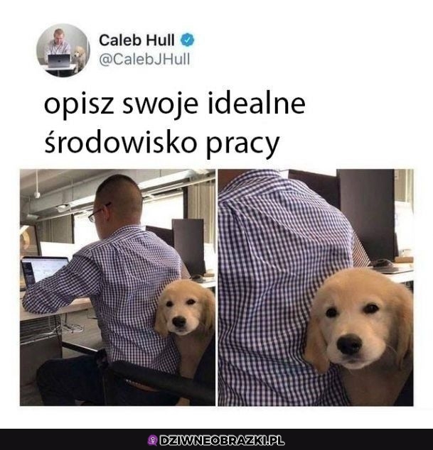 Najlepsze warunki pracy