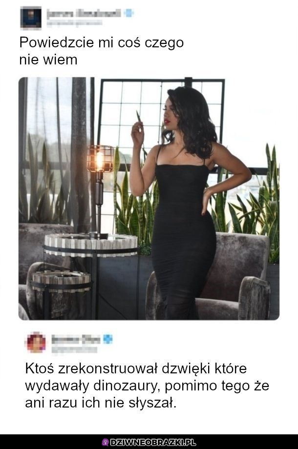 Ciekawostka