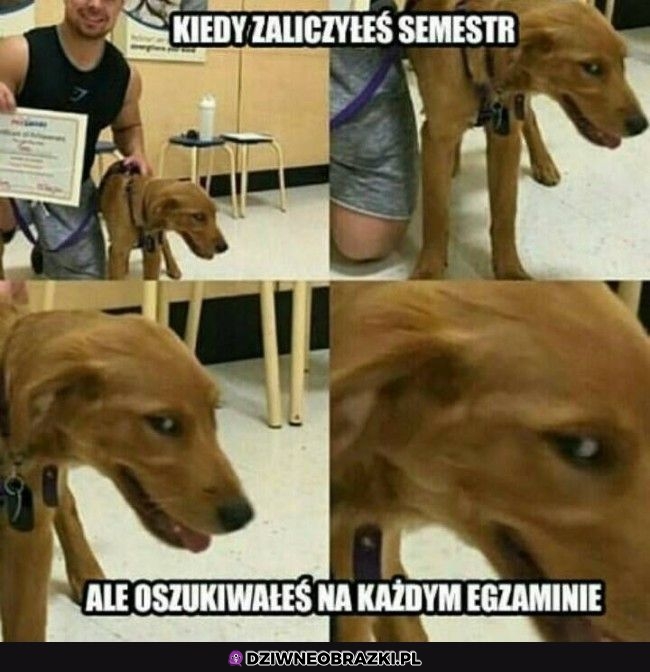 Ten moment