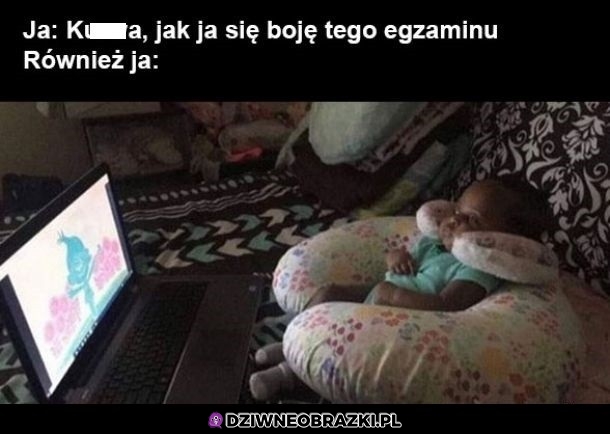Przed egzaminami