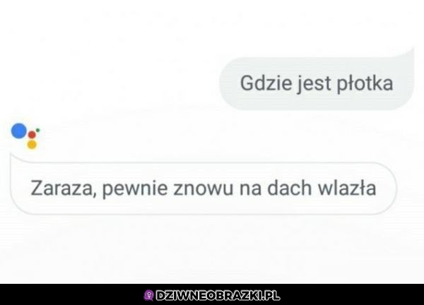 Gdzie ona jest?