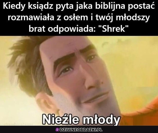 Całkiem nieźle