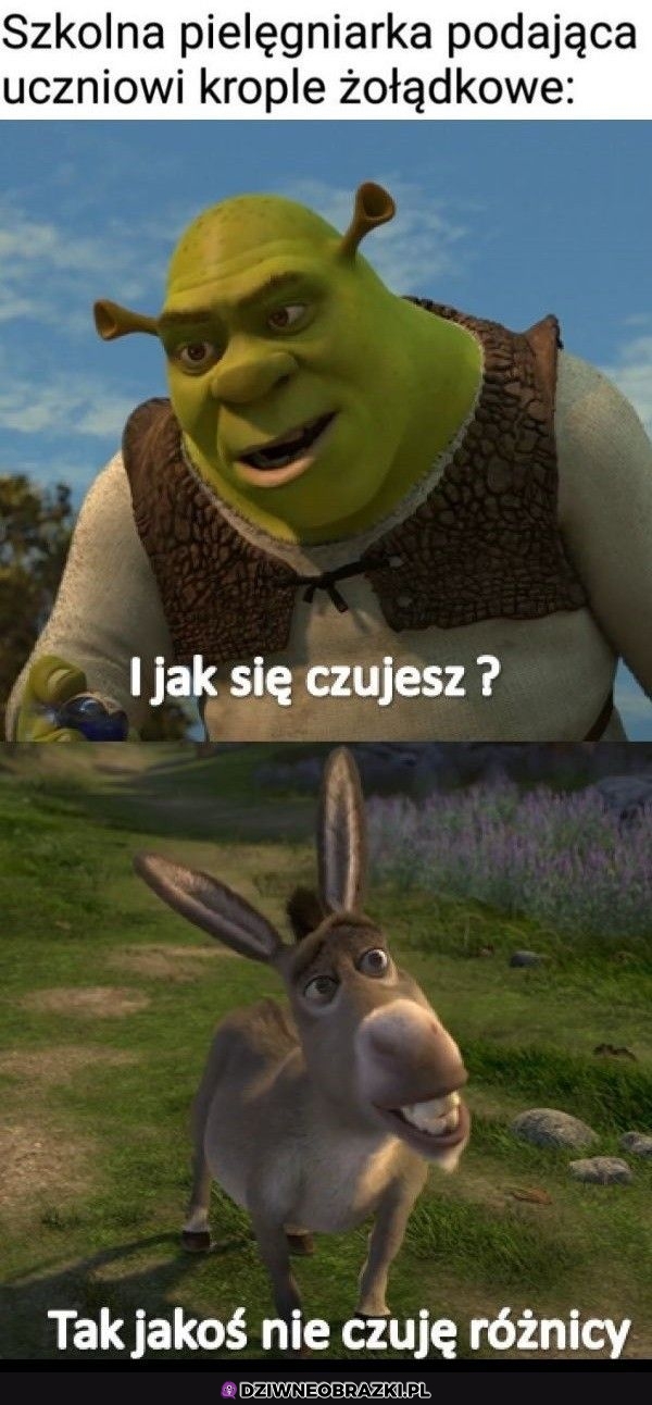 Krople na wszystko