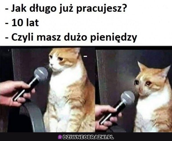 Że co mam?