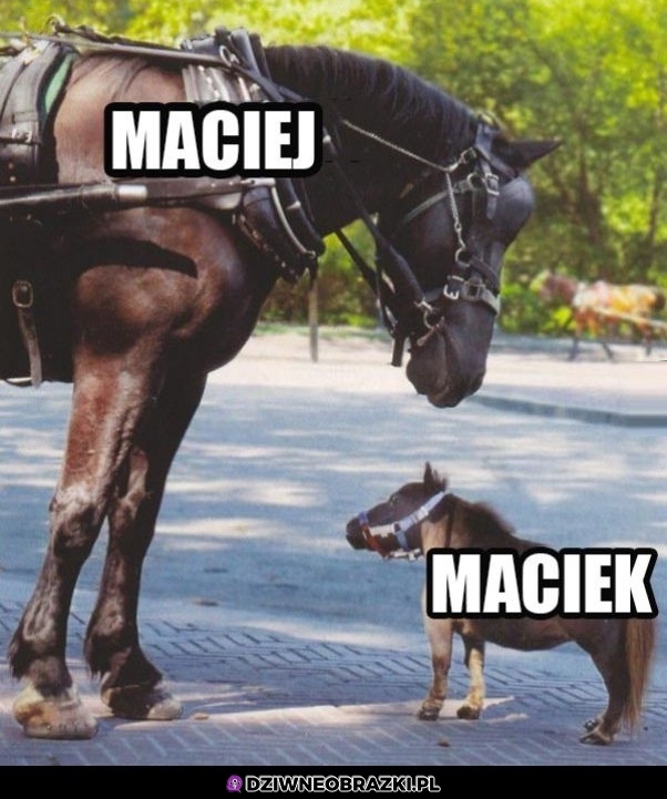 Różnica