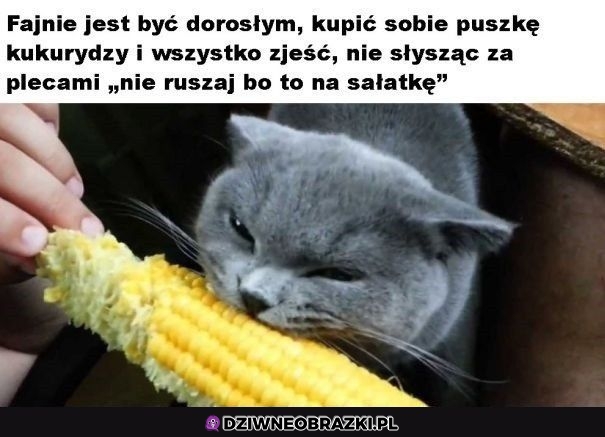 To jest akurat fajne