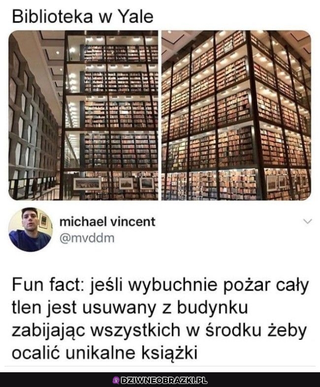 Dla mnie spoko