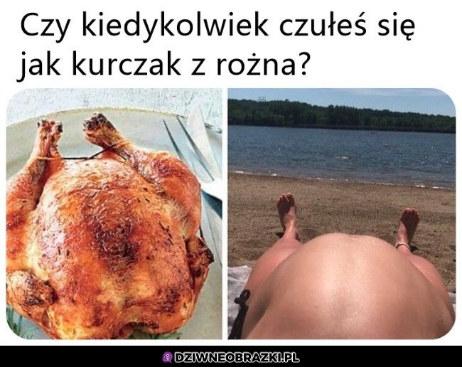 Niezła forma