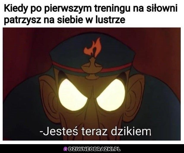 Po pierwszym treningu na siłce