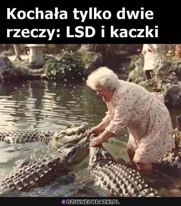 Kiedy babcia przyćpa