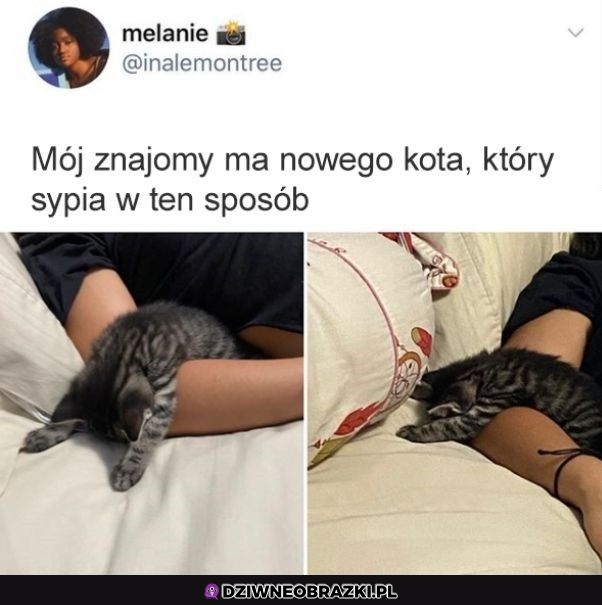 Zasnęło mu się