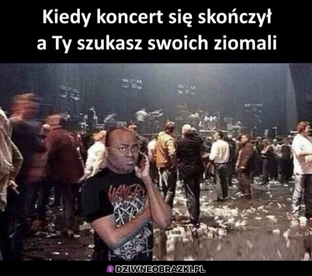 Gdzie oni są?! Gdzie oni są?!