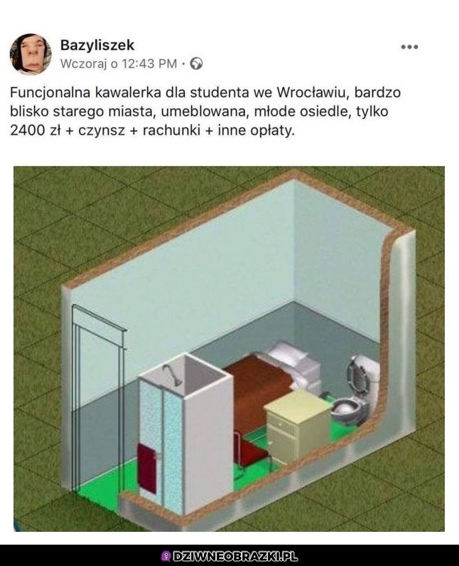Kawalerka