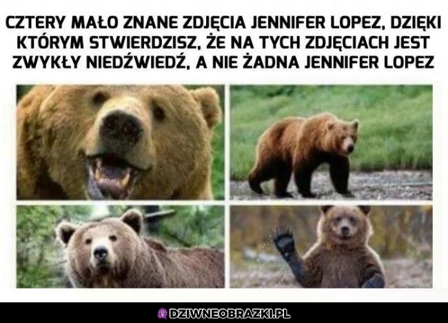 Zdjęcia Jennifer Lopez