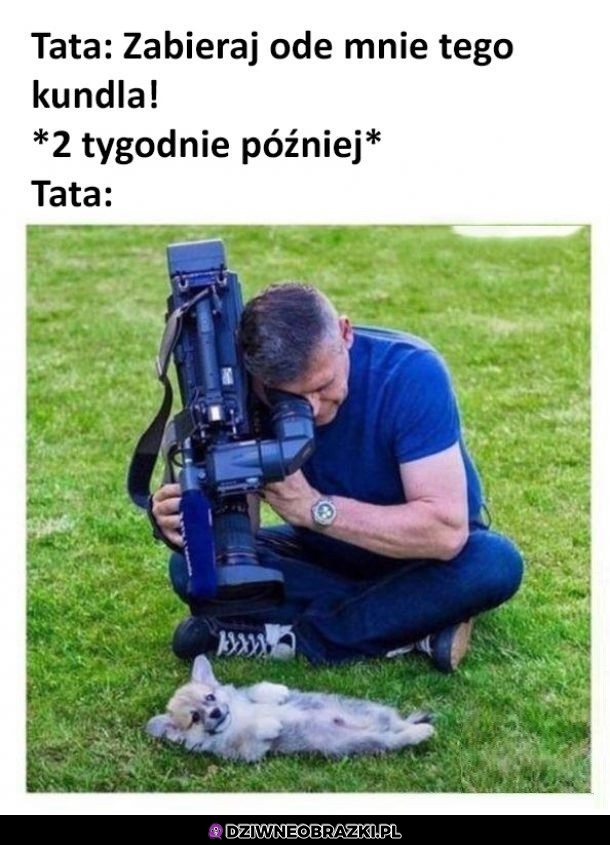 Każdy tata