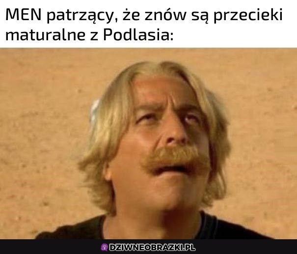 Znowu tam
