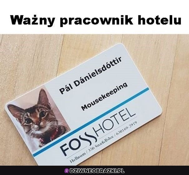 Najważniejszy pracownik