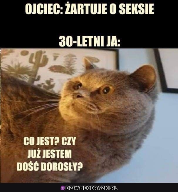 To już?
