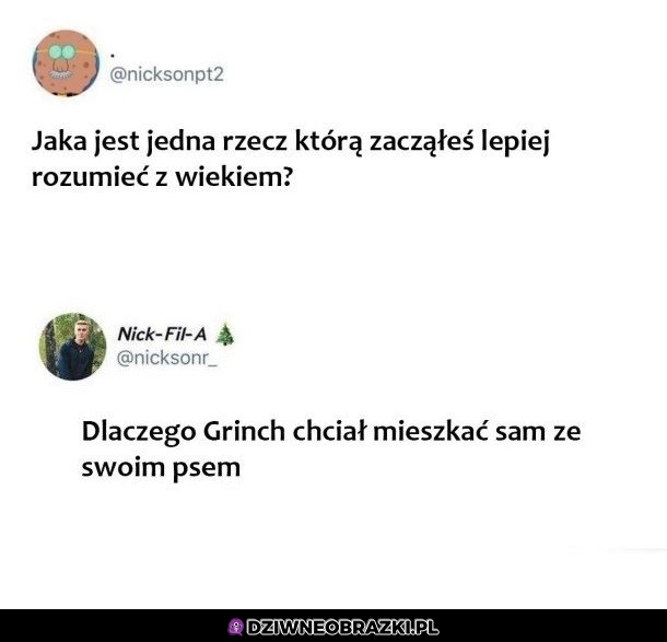 Rozumiem go