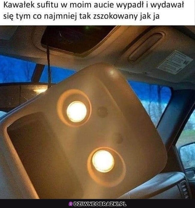Zszokowany