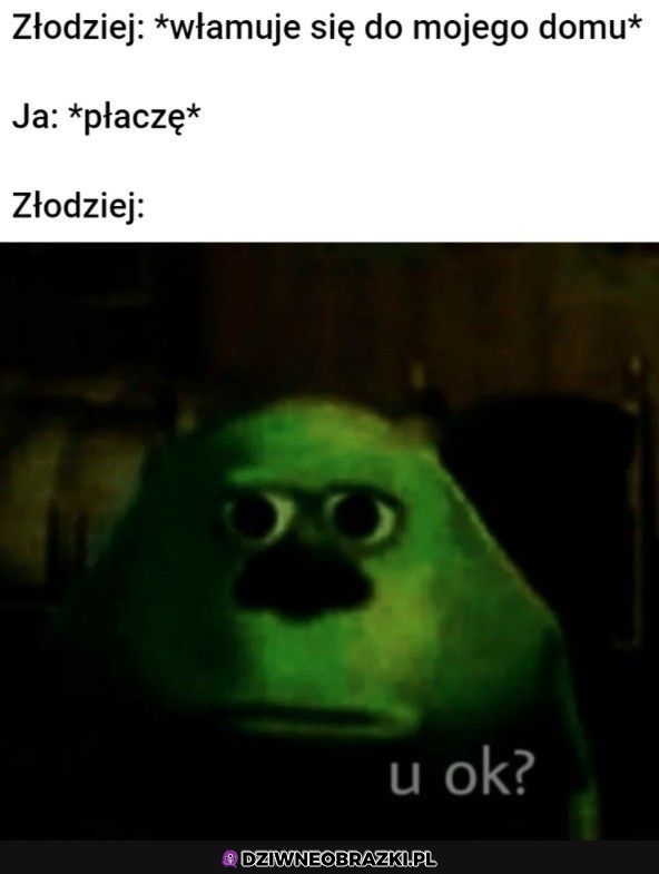 Byku ale okej wszystko?