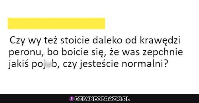 Zdecydowanie tak