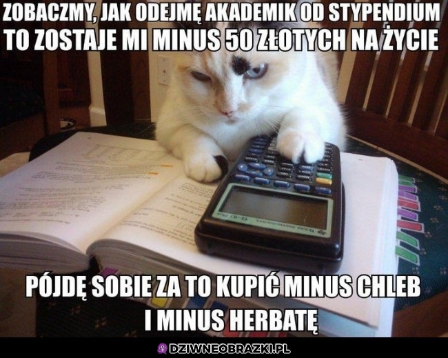 Stypendia