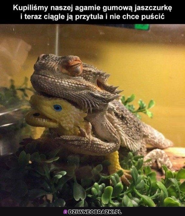 Fajny prezencik