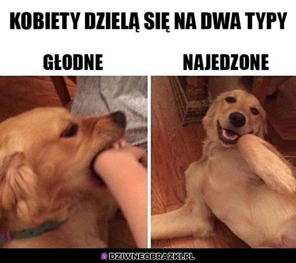 Dwa typy kobiet