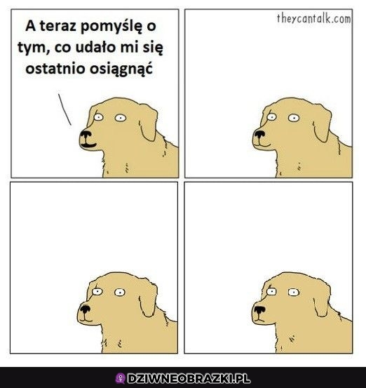 Niech no pomyślę
