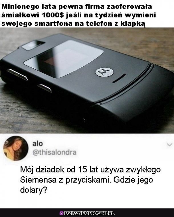 Dałbym radę