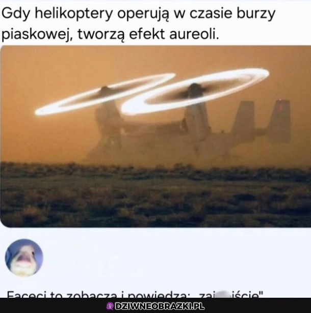 Co powiecie?