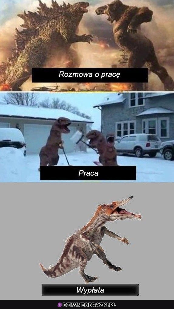 Praca taka jest