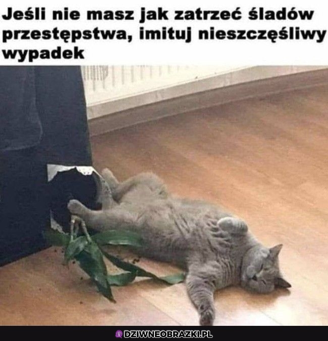 Chyba nie zadziała