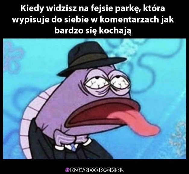 Ochyda