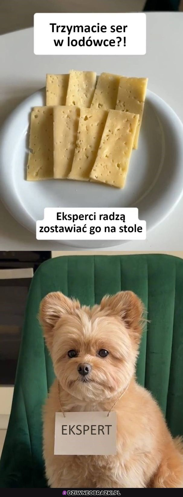 Przebiegły ekspert