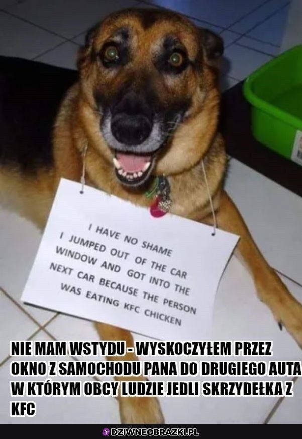Pieseł