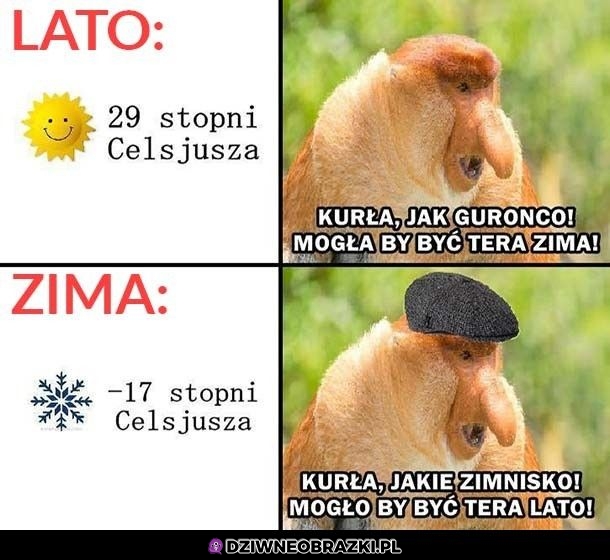 Zawsze narzekają Zawsze narzekają