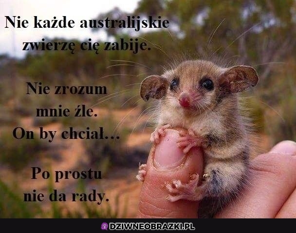 Nie każde Cię zabije