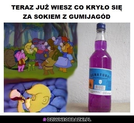 Sok z gumijagód