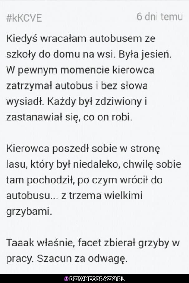 I tak trzeba żyć