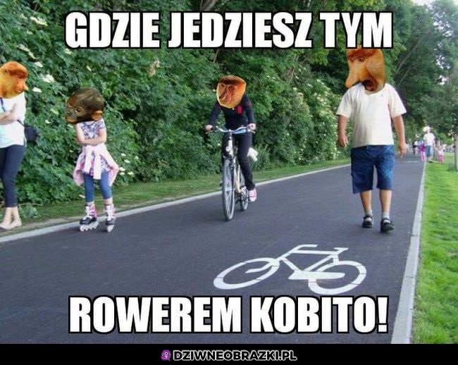 Gdzie kobito jedziesz!